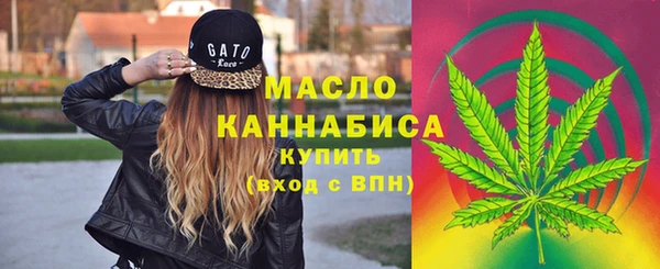 молекула духа Губаха