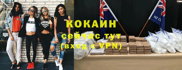 молекула духа Губаха