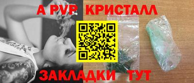 ешки Гай