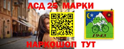 ешки Гай