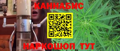 дмт Гатчина