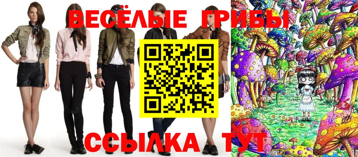 Иваново  Псилоцибиновые грибы Psilocybe  Вход с VPN 