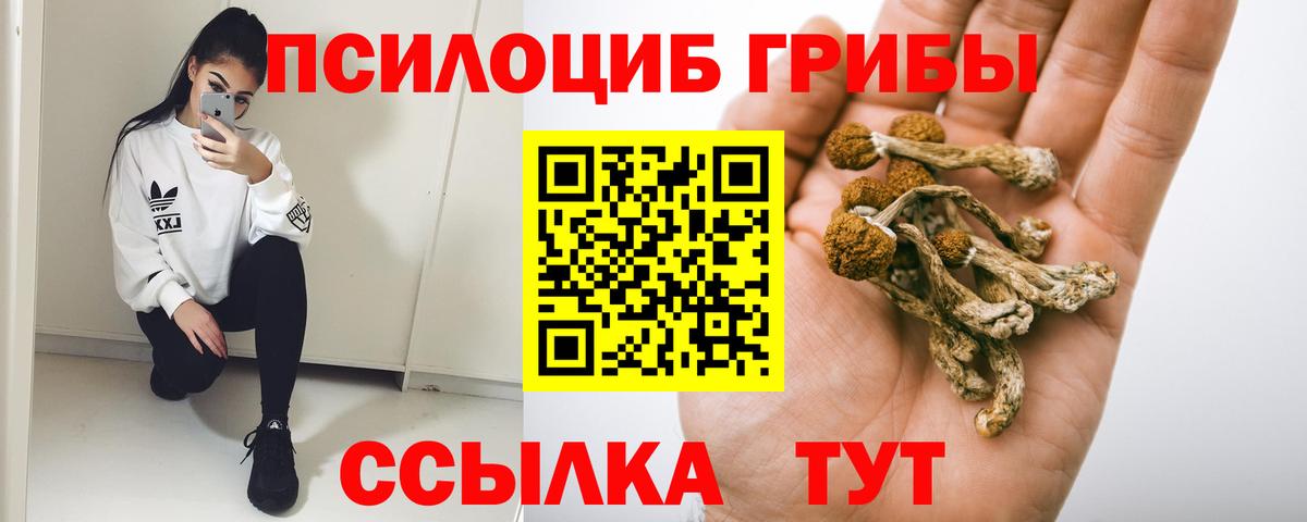 Псилоцибиновые грибы MAGIC MUSHROOMS Иваново